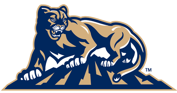 Brigham Young Cougars 1999-2004 Alternate Logo v2 diy DTF decal sticker